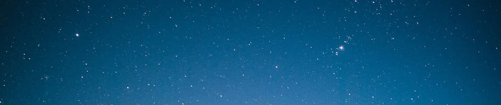 Terms-and-Conditions